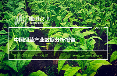 《唯恒农业：中国烟草产业数据分析报告》