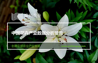 《唯恒农业：中国花卉产业数据分析报告》