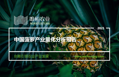 《唯恒农业：中国菠萝产业量化分析报告》