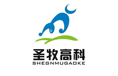 中国圣牧：2020年净利增长1365.9%