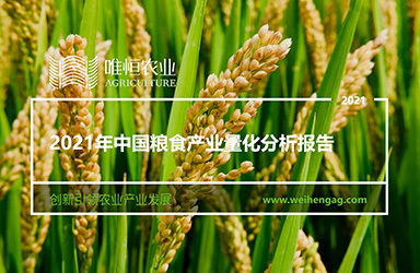 《唯恒农业：2021年中国粮食产业量化分析报告》