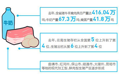 云南省畜牧业快速发展