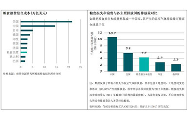 全球粮食分配不均，每年食物浪费高达13.6万亿美元