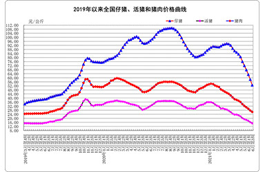 6月份第3周畜产品和饲料集贸市场价格情况