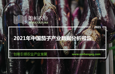 《唯恒农业：2021年中国茄子产业数据分析报告》