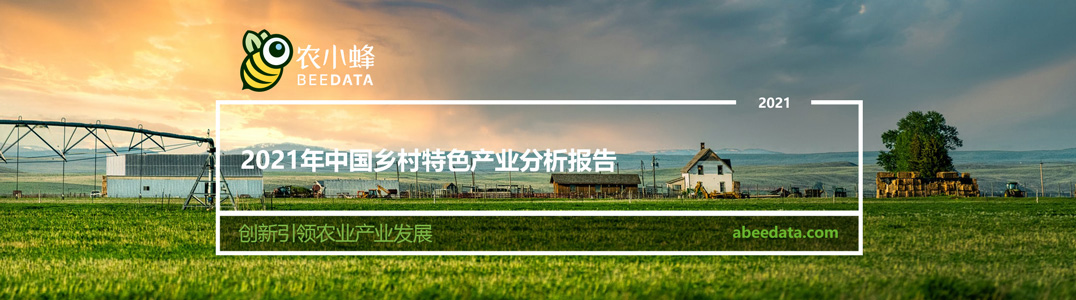 2021年中国乡村特色产业分析报告
