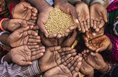 联合国粮农组织：2021年全球食品价格创10年来新高