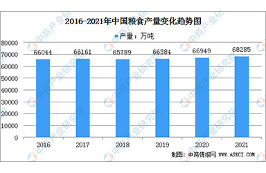 2021年中国粮食作物种植情况分析