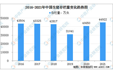 2021年中国生猪行业运行情况总结及2022年行业走势预测