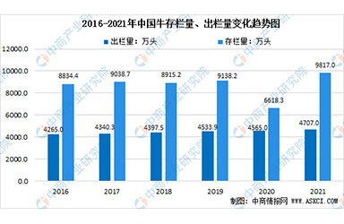 2022年中国牛肉养殖市场规模及行业发展趋势分析