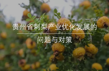 《贵州省刺梨产业优化发展的问题与对策》