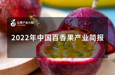 《云果：2022年中国百香果产业简报》