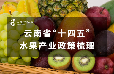 《云果：云南省“十四五”水果产业政策梳理》