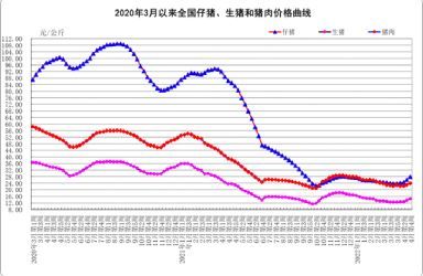 2022年第17周国内外农产品市场动态