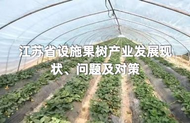 《江蘇省設施果樹產業發展現狀、問題及對策》