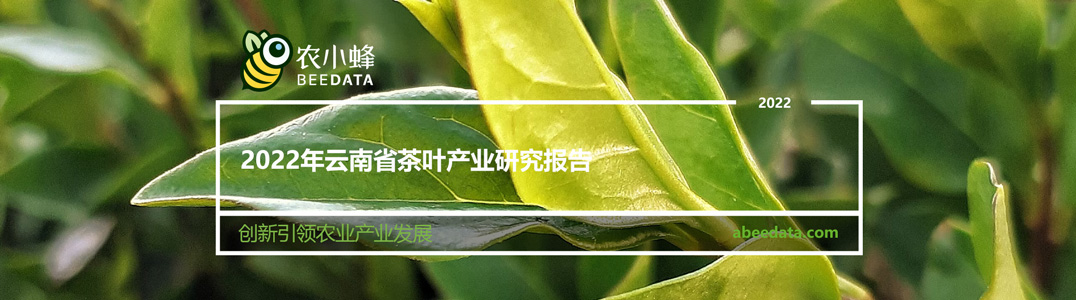 2022年云南省茶叶产业研究报告
