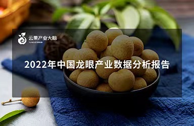 《云果：2022年中国龙眼产业数据分析报告》