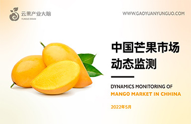 《云果：中国芒果市场动态监测（2022年5月）》