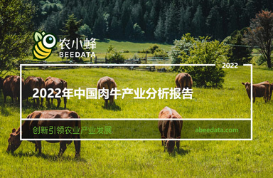 《农小蜂：2022年中国肉牛产业分析报告》