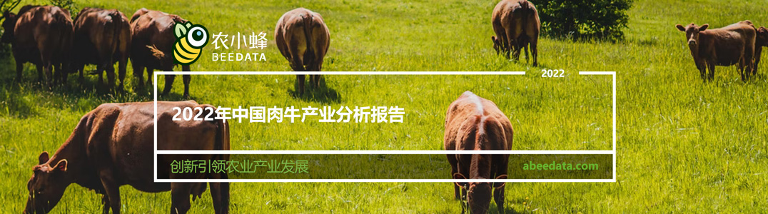 2022年中国肉牛产业分析报告