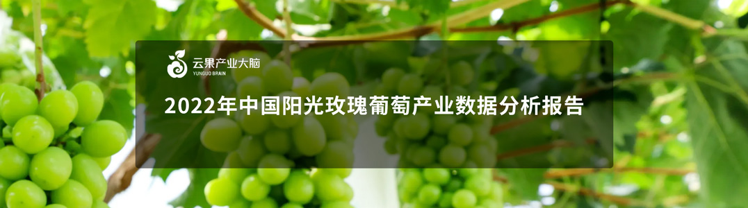 2022年中国阳光玫瑰葡萄产业数据分析报告