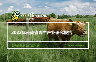 《农小蜂：2022年云南省肉牛产业研究报告》