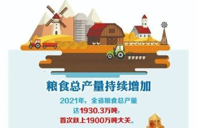 云南粮食总产量去年首次突破1900万吨！