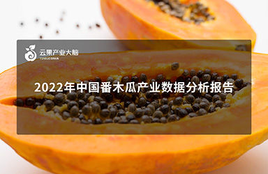 《云果：2022年中国番木瓜产业数据分析报告》