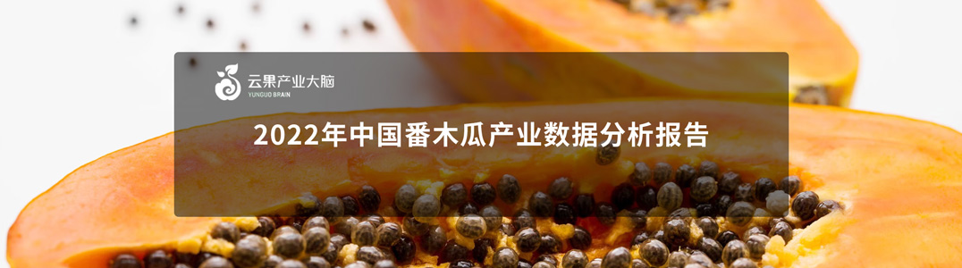 2022年中国番木瓜产业数据分析报告