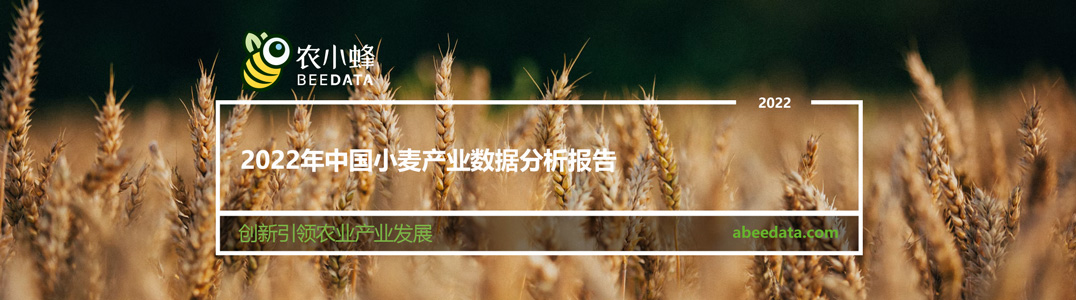 2022年中国小麦产业数据分析报告
