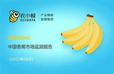 《農小蜂：中國香蕉市場動態監測（2022年8月）》