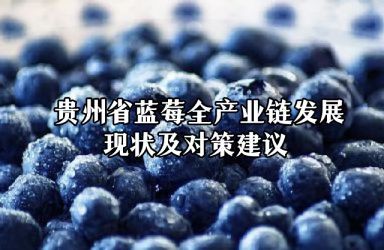 《贵州省蓝莓全产业链发展现状及对策建议 》