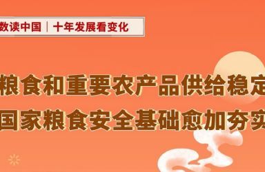 十年发展看变化：粮食和重要农产品供给稳定 国家粮食安全基础愈加夯实