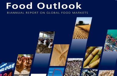 《联合国粮农组织：2022年全球粮食展望报告》