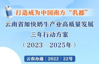 打造成为中国南方“乳都” 一图读懂《云南省加快奶牛产业高质量发展三年行动方案（2023—2025年）》