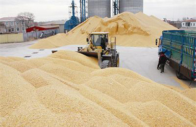 中糧集團首購6.8萬噸 中國開啟巴西玉米進口