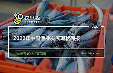 《農小蜂：2022年中國漁業發展現狀簡報》