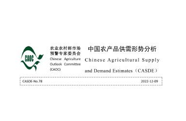 《2022年12月中國農產品供需形勢分析》