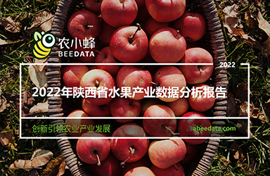 《农小蜂：2022年陕西省水果产业数据分析报告》