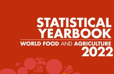 《聯合國糧農組織：2022年世界糧食及農業統計年鑒》