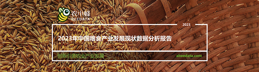 2023年中国粮食产业发展现状数据分析报告