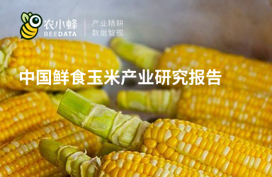 中国鲜食玉米产业研究报告