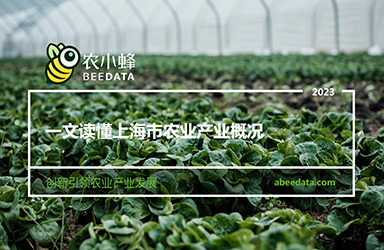 《农小蜂：一文读懂上海市农业产业概况》