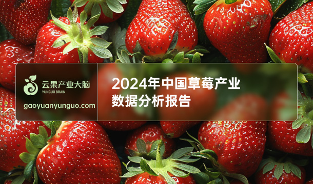 《云果：2024年中国草莓产业数据分析报告》