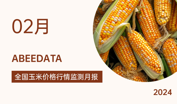 《农小蜂：全国玉米价格行情监测月报（2024年2月）》