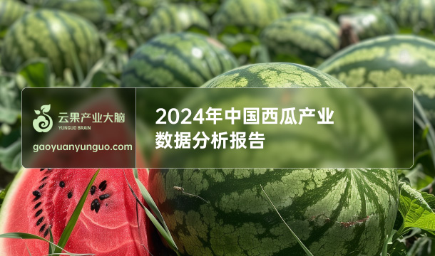 《云果：2024年中国西瓜产业数据分析报告》
