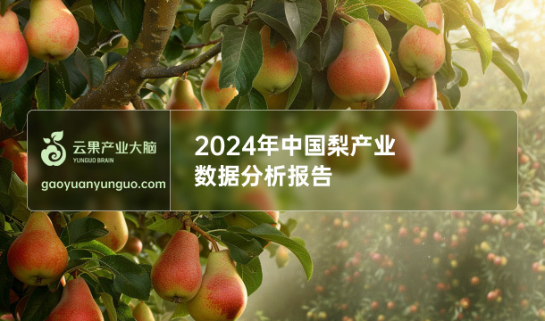 《云果：2024年中国梨产业数据分析报告》