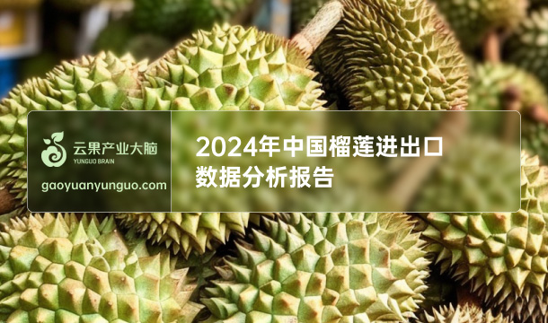 《云果：2024年中国榴莲进出口数据分析报告》