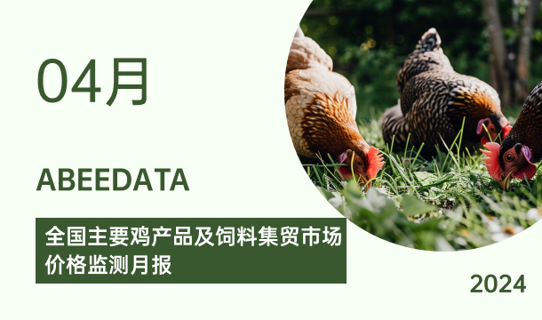 《农小蜂：全国主要鸡产品及饲料集贸市场价格监测月报（2024年4月）》