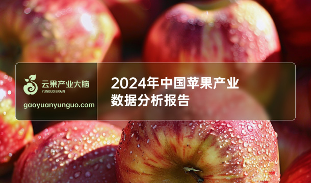 《云果：2024年中国苹果产业数据分析报告》